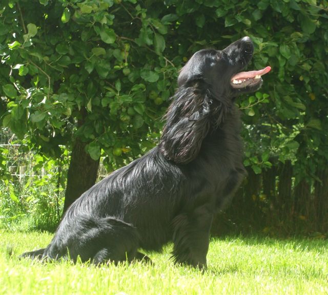 Other Cairnstorm Crew